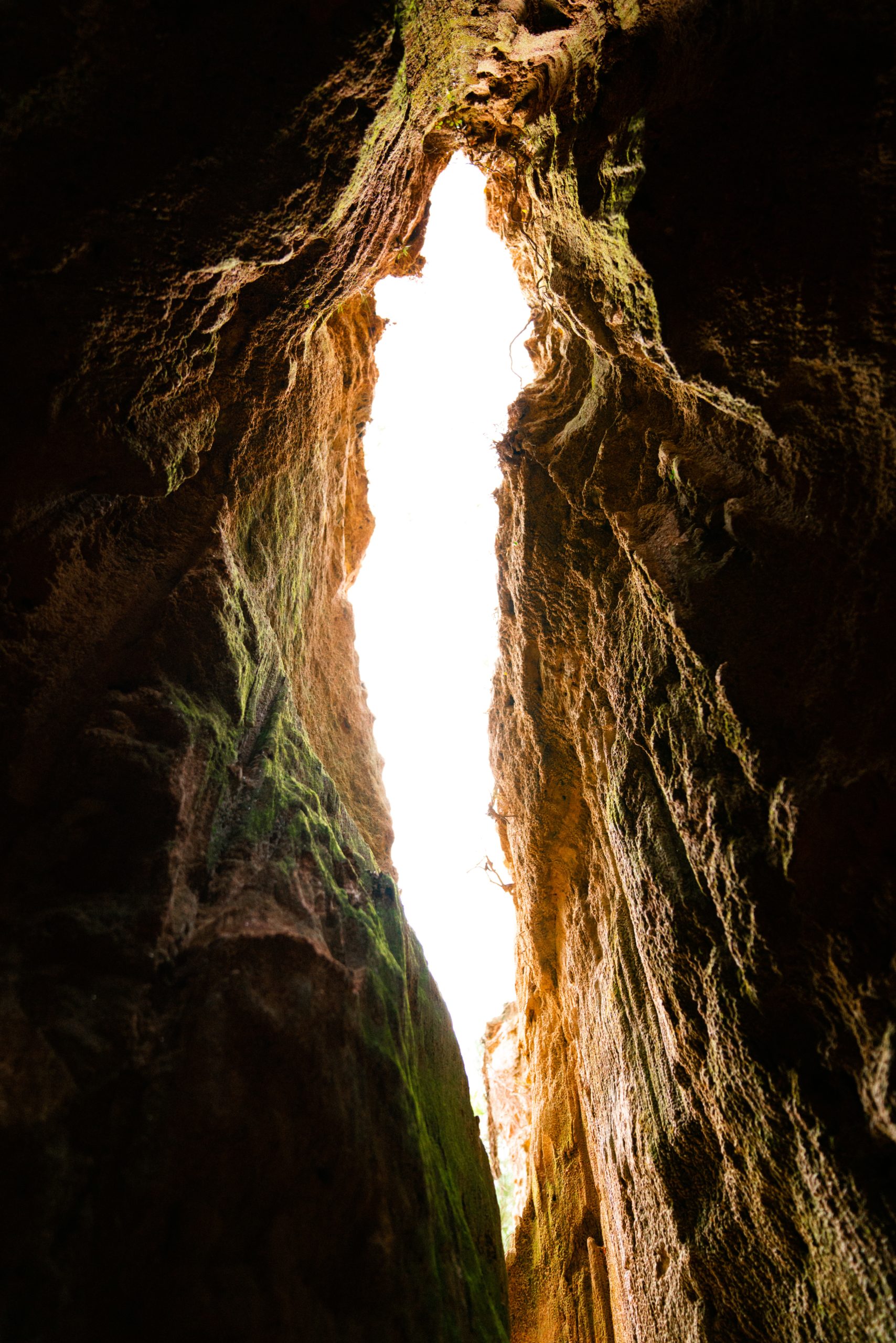 low angle photography inside cave