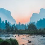 body of water surrounded by trees