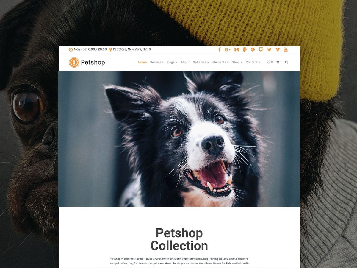 Petshop WordPress Theme - Responsive Site Builder
