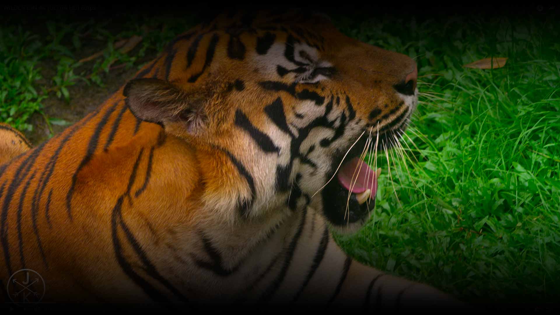 Nonprofit Wordpress Theme Demonstrative Site By Visualmodo